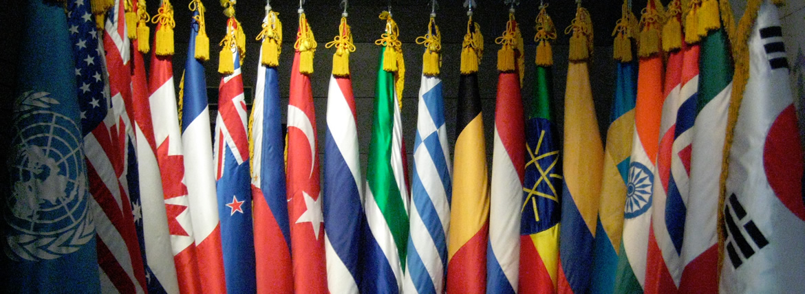 international-organization-flags