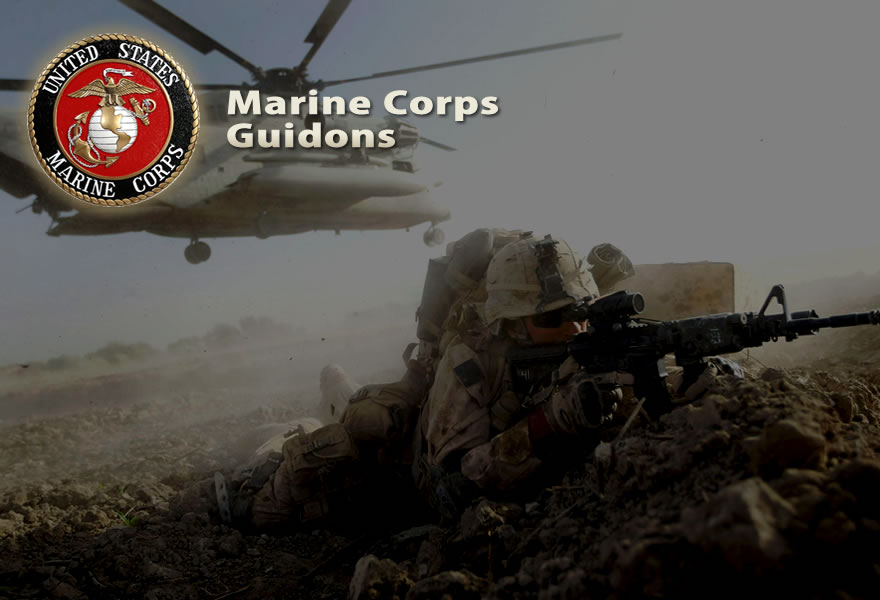 Custom Military Guidons - US Army, Air Force, Marine Corps & Navy Guidons