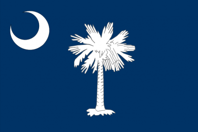 South Carolina State Flag 4'x6' US State Flags Polyester