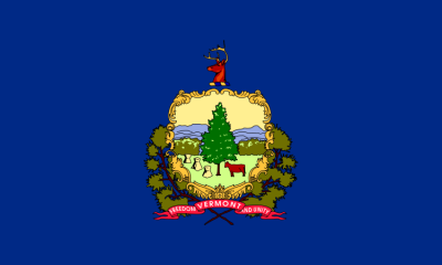 Vermont State Flag 3'x5' US State Flags Polyester