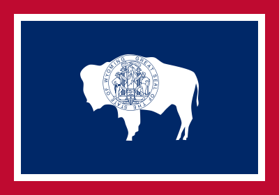 Wyoming State Flag 3'x5' US State Flags Polyester