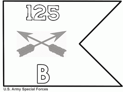 Special Forces (ARNG) National Guard guidons