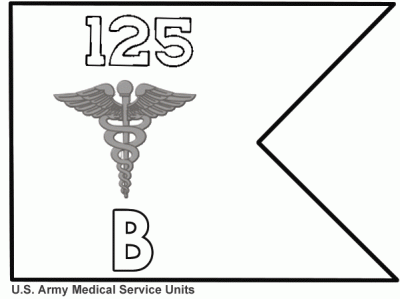 Medical Service units (ARNG) National Guard guidons