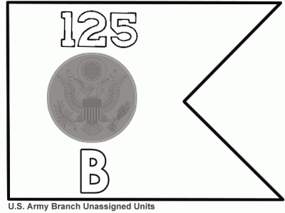 Branch Unassigned Units (ARNG) Army National Guard guidons