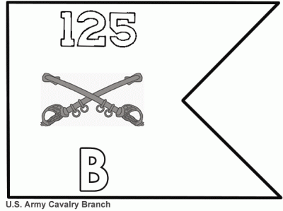 Cavalry Branch Units (ARNG) National Guard guidons