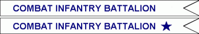 Combat Infantry Unit Combat and Expert Infantry