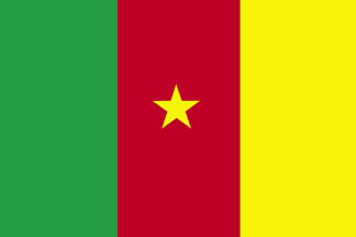 Cameroon Flag 3' X 5' Outdoor Flag World Countries Flags