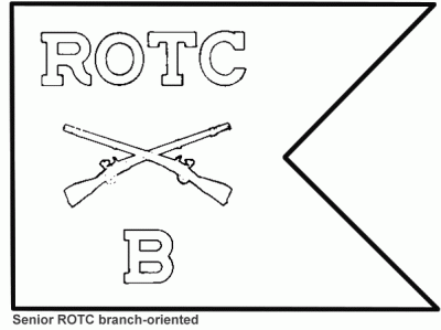 Senior ROTC branch-oriented Army ROTC Guidons