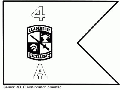 Senior ROTC non-branch oriented Army ROTC Guidons