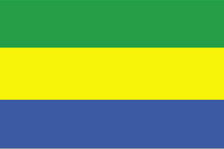 Gabon Flag 4' X 6' Indoor/Parade Flag Set World Countries Flags