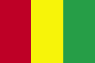 Guinea Flag 4' X 6' Indoor/Parade Flag Set World Countries Flags