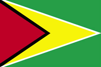 Guyana Flag 3' X 5' Indoor/Parade Flag Set World Countries Flags
