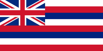 Hawaii State Flag 3'x5' US State Flags Nylon
