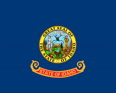 Idaho State Flag 3'x5' US State Flags Nylon