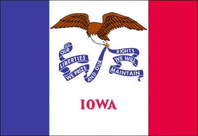 Iowa State Flag 3'x5' US State Flags Nylon