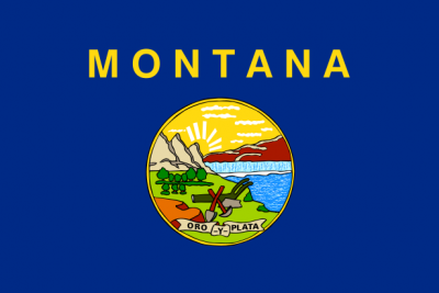 Montana State Flag 3'x5' US State Flags Nylon