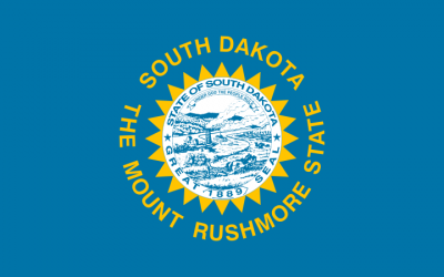 South Dakota State Flag 3'x5' US State Flags Nylon