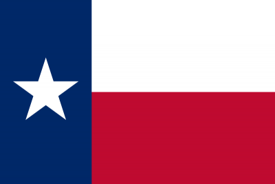 Texas State Flag 3'x5' US State Flags Nylon