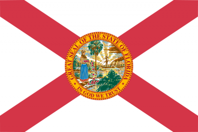 Florida State Flag 3'x5' US State Flags Polyester