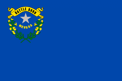 Nevada State Flag 3'x5' US State Flags
