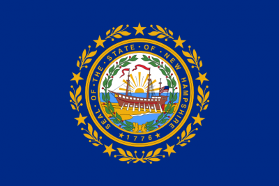 New Hampshire State Flag 3'x5' US State Flags
